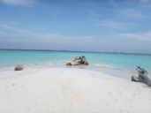 plage de sable fin sur une des iles des Maldives